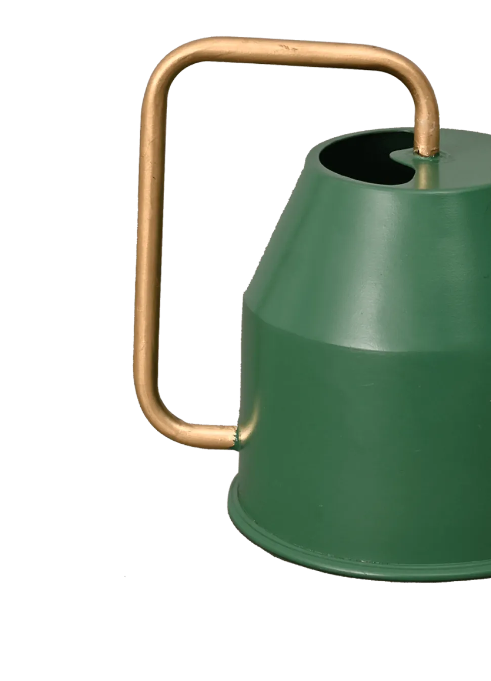 Tropical Forest Watering Can - Green & Gold