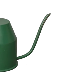 Tropical Forest Watering Can - Green & Gold
