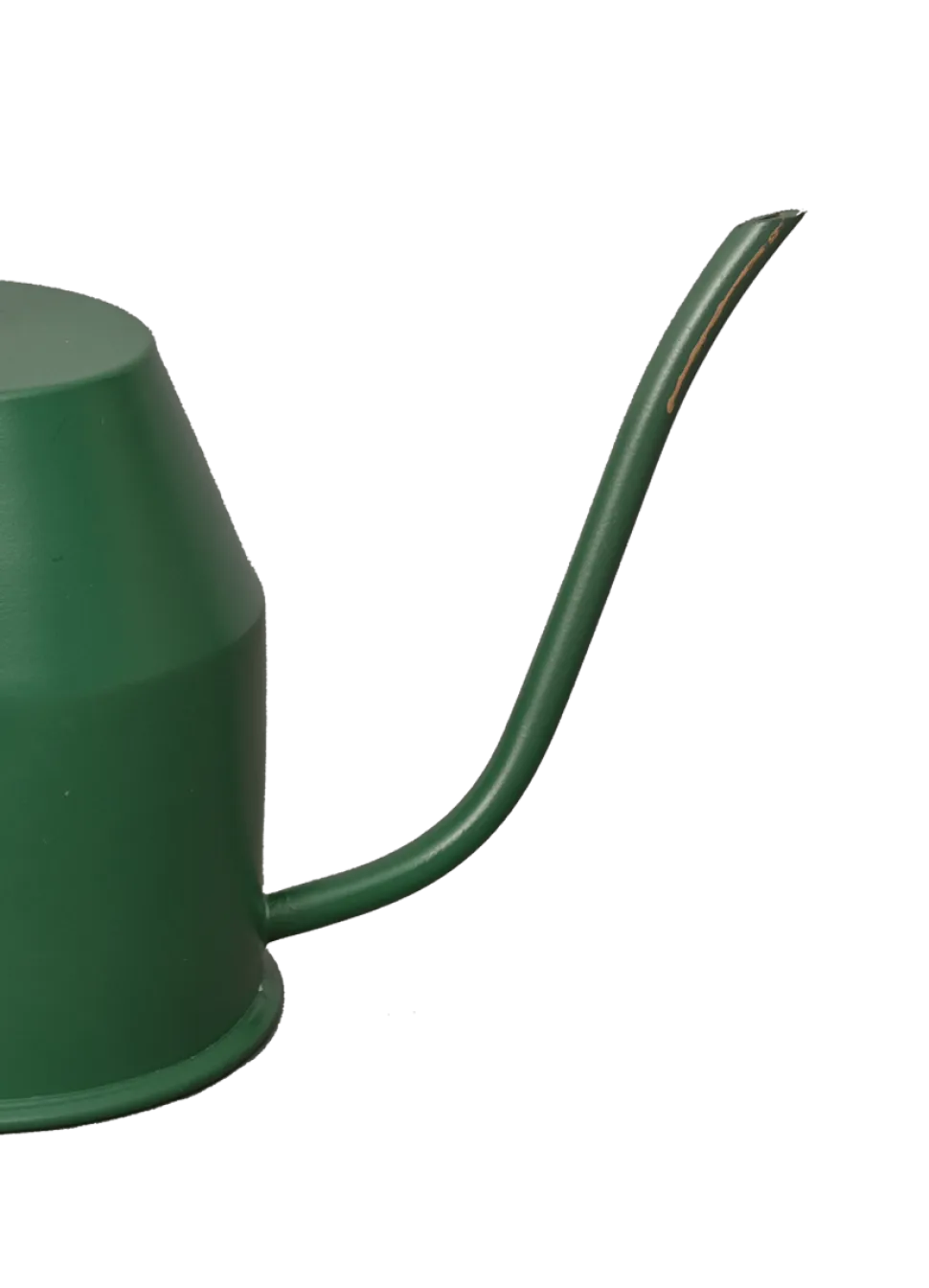 Tropical Forest Watering Can - Green & Gold