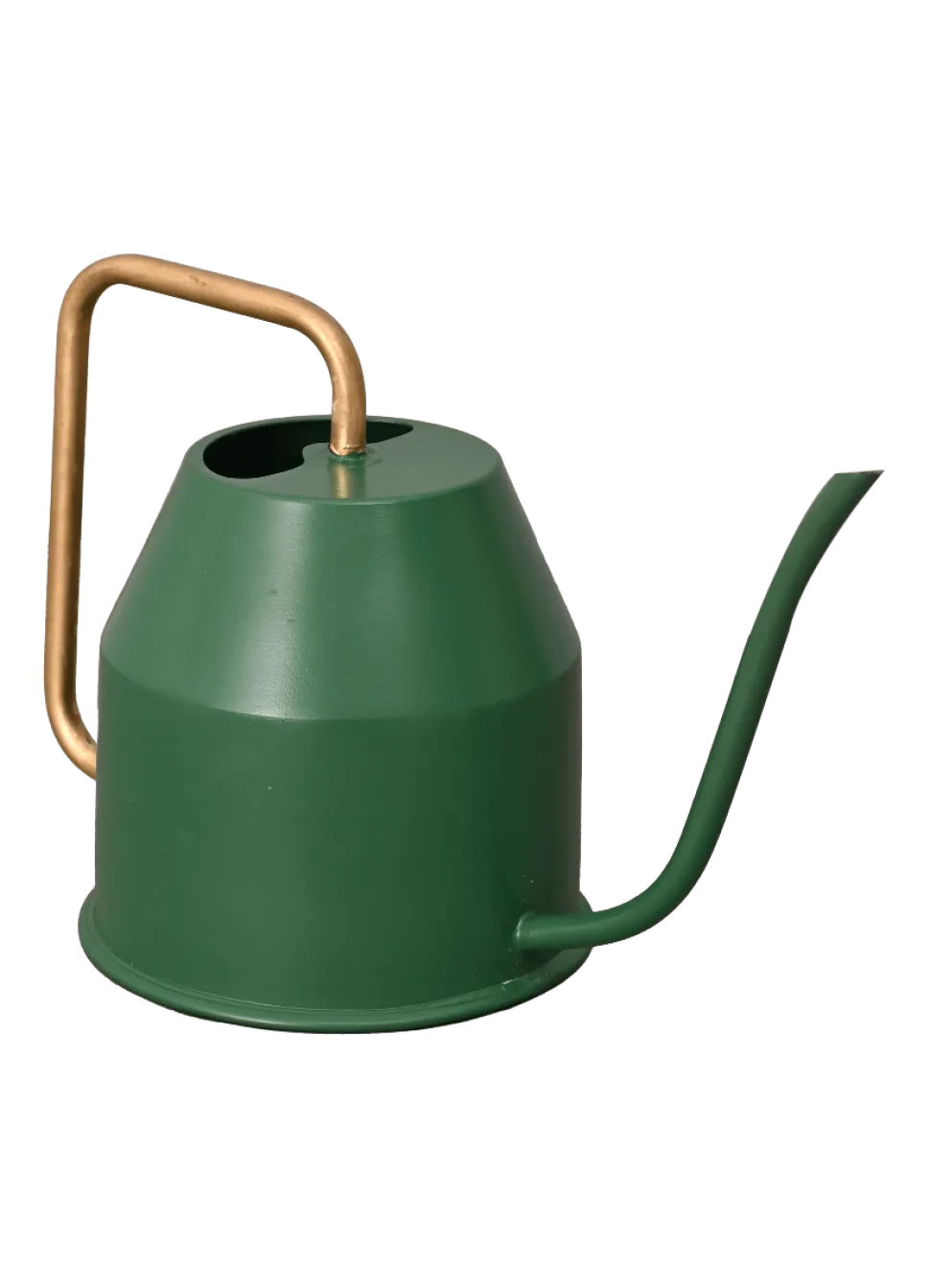 Tropical Forest Watering Can - Green & Gold