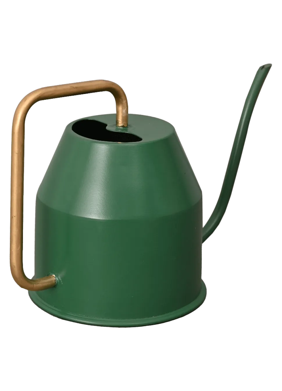 Tropical Forest Watering Can - Green & Gold