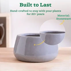 Tulip Fantasy Bowl Ceramic Planter
