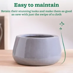 Tulip Fantasy Bowl Ceramic Planter