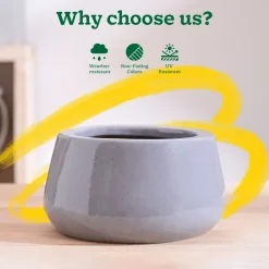 Tulip Fantasy Bowl Ceramic Planter