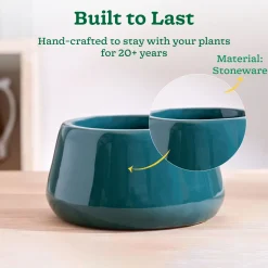 Tulip Fantasy Bowl Ceramic Planter