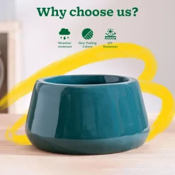 Tulip Fantasy Bowl Ceramic Planter