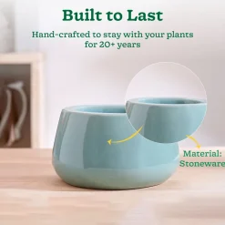 Tulip Fantasy Bowl Ceramic Planter