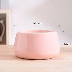 Tulip Fantasy Bowl Ceramic Planter