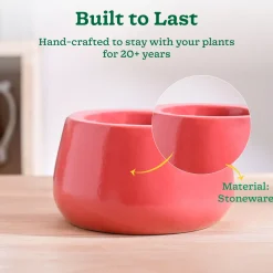 Tulip Fantasy Bowl Ceramic Planter
