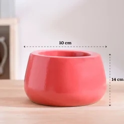 Tulip Fantasy Bowl Ceramic Planter