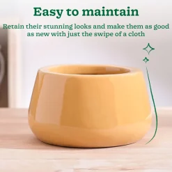 Tulip Fantasy Bowl Ceramic Planter
