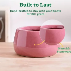 Tulip Fantasy Bowl Ceramic Planter