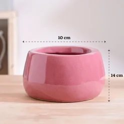 Tulip Fantasy Bowl Ceramic Planter