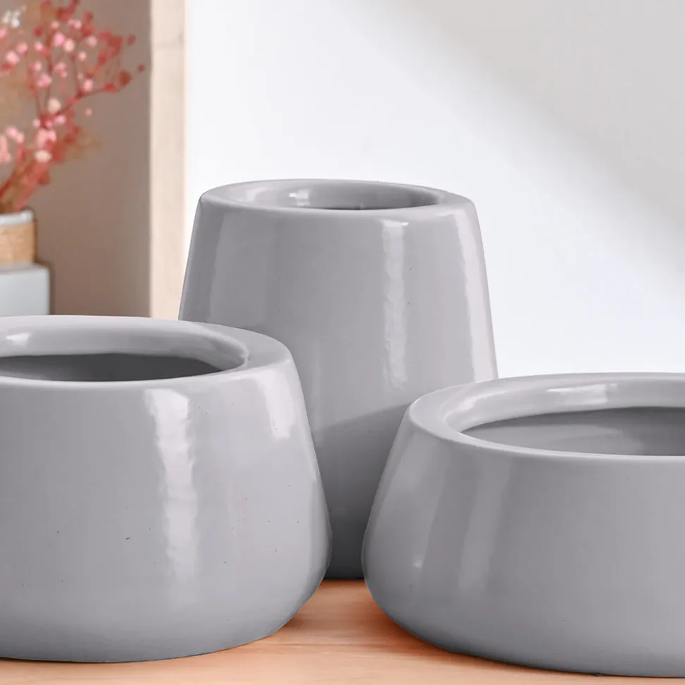 Tulip Fantasy Bundle - Grey