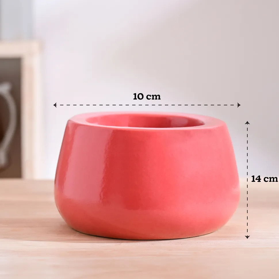 Tulip Fantasy Bundle - Light Red
