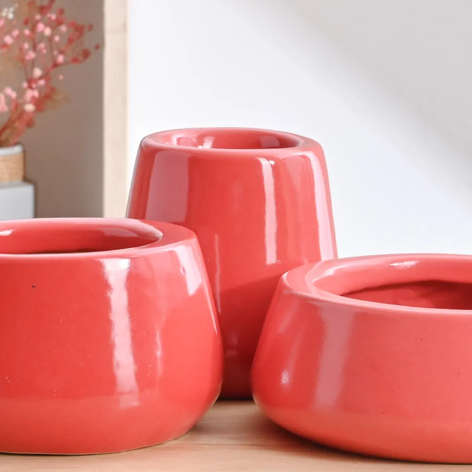 Tulip Fantasy Bundle - Light Red