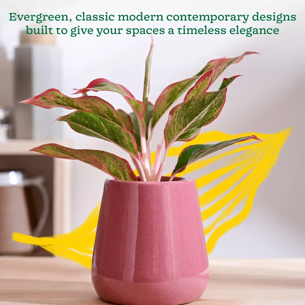 Tulip Fantasy Extra Small Ceramic Planter