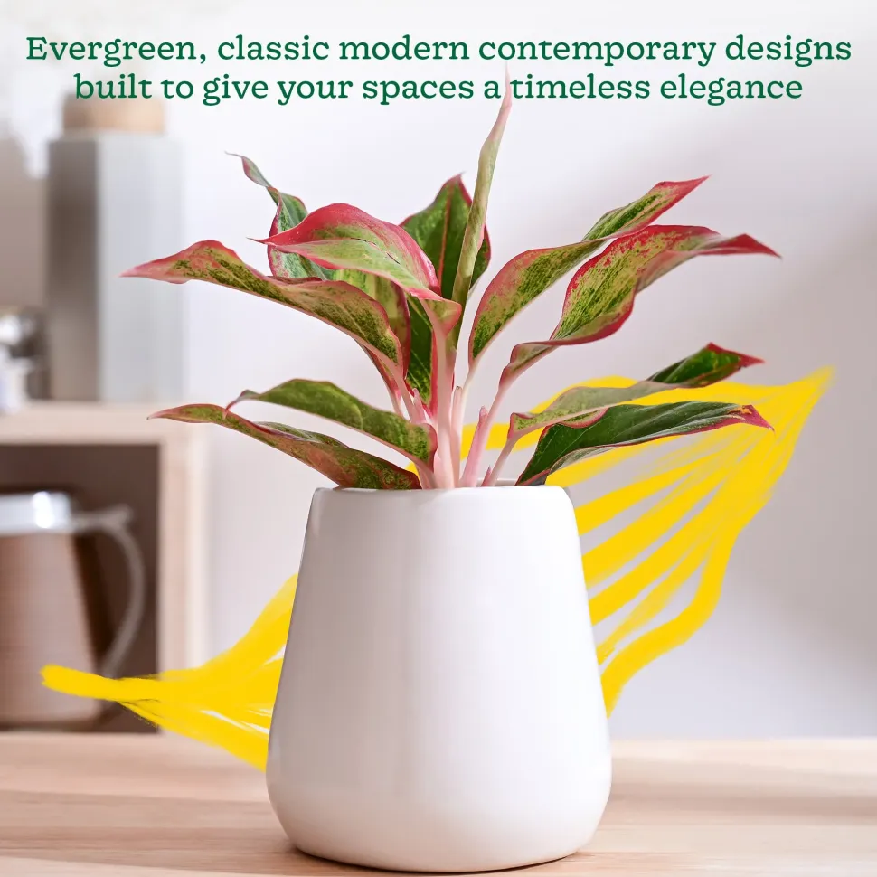 Tulip Fantasy Extra Small Ceramic Planter