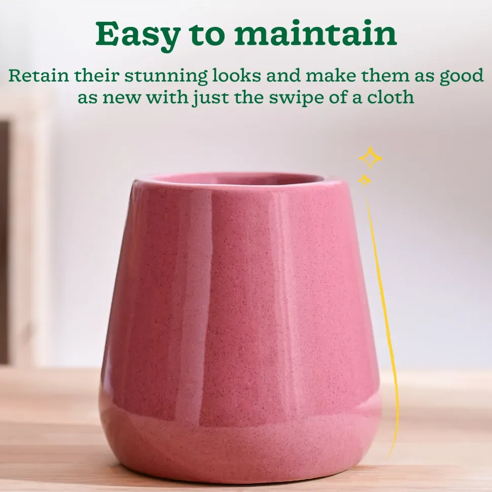 Tulip Fantasy Extra Small Ceramic Planter