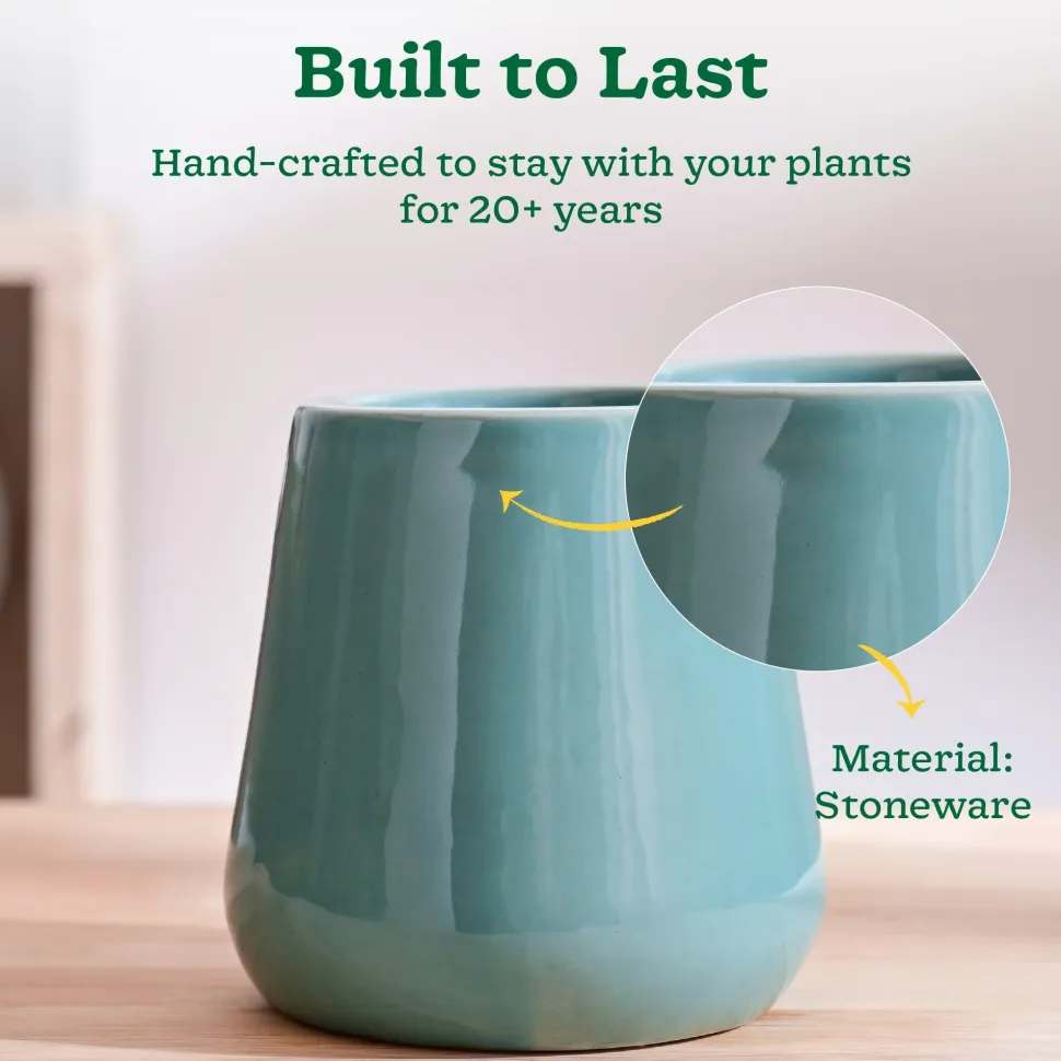Tulip Fantasy Extra Small Ceramic Planter