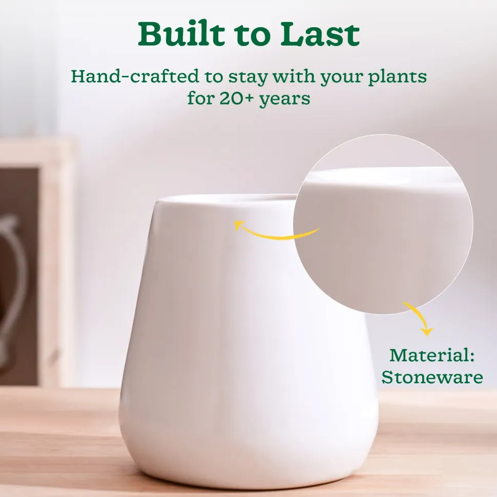 Tulip Fantasy Extra Small Ceramic Planter