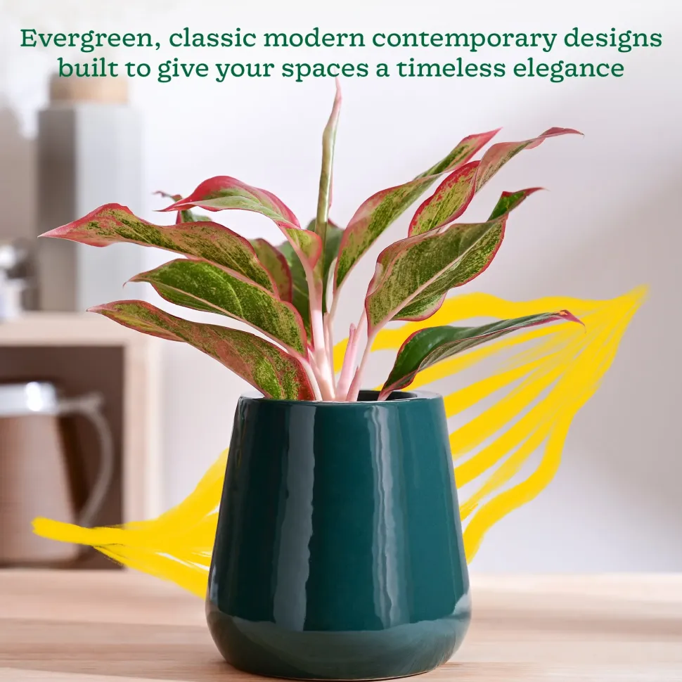 Tulip Fantasy Extra Small Ceramic Planter