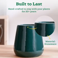 Tulip Fantasy Extra Small Ceramic Planter
