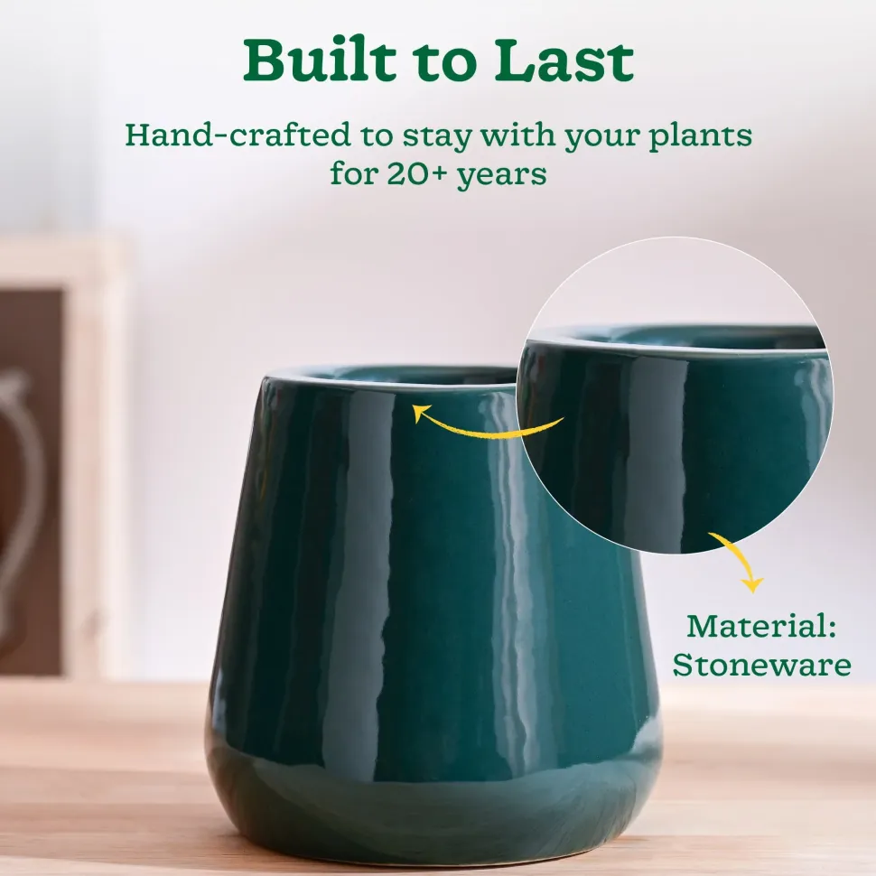 Tulip Fantasy Extra Small Ceramic Planter