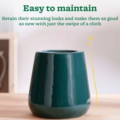 Tulip Fantasy Extra Small Ceramic Planter