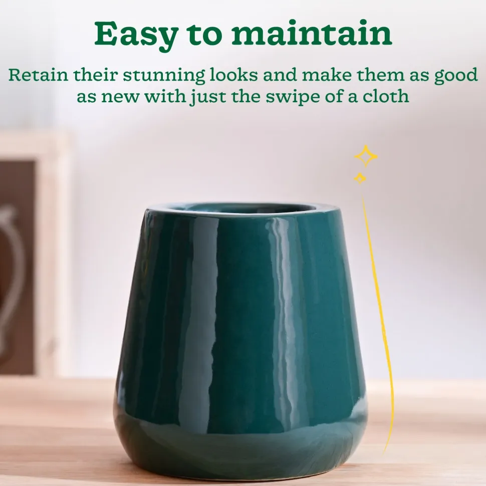 Tulip Fantasy Extra Small Ceramic Planter