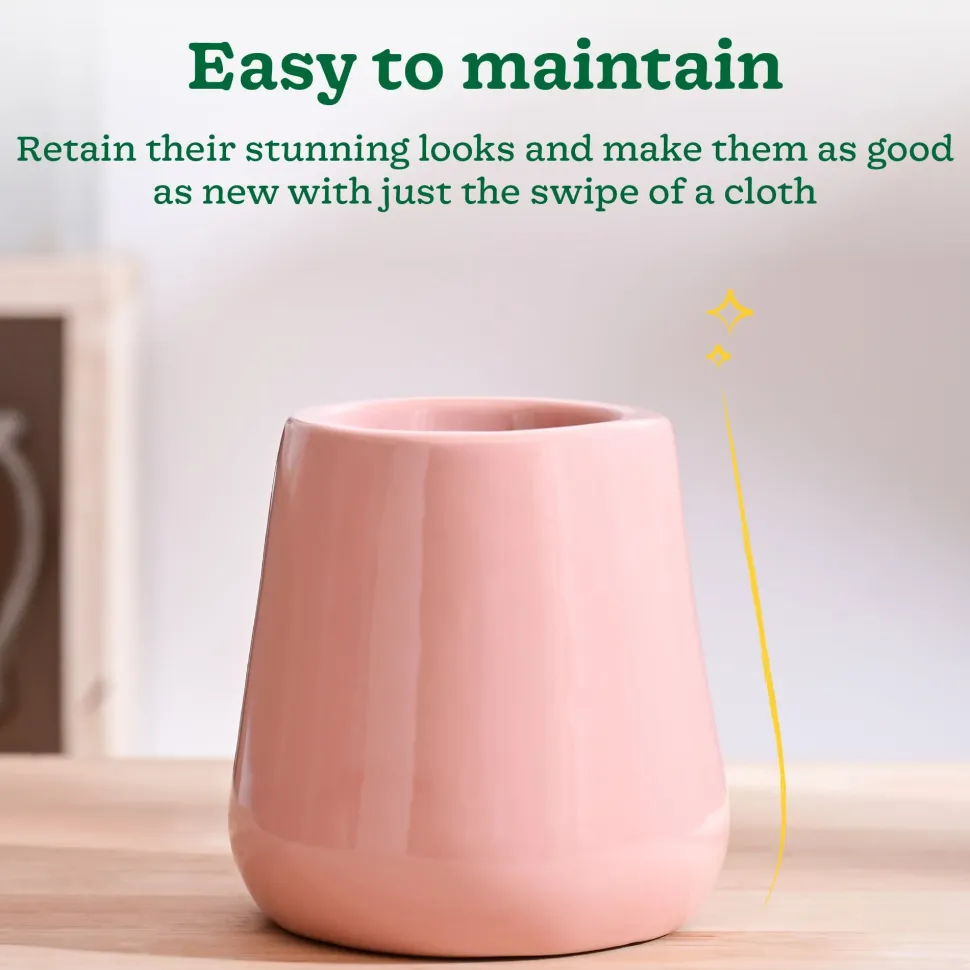 Tulip Fantasy Extra Small Ceramic Planter