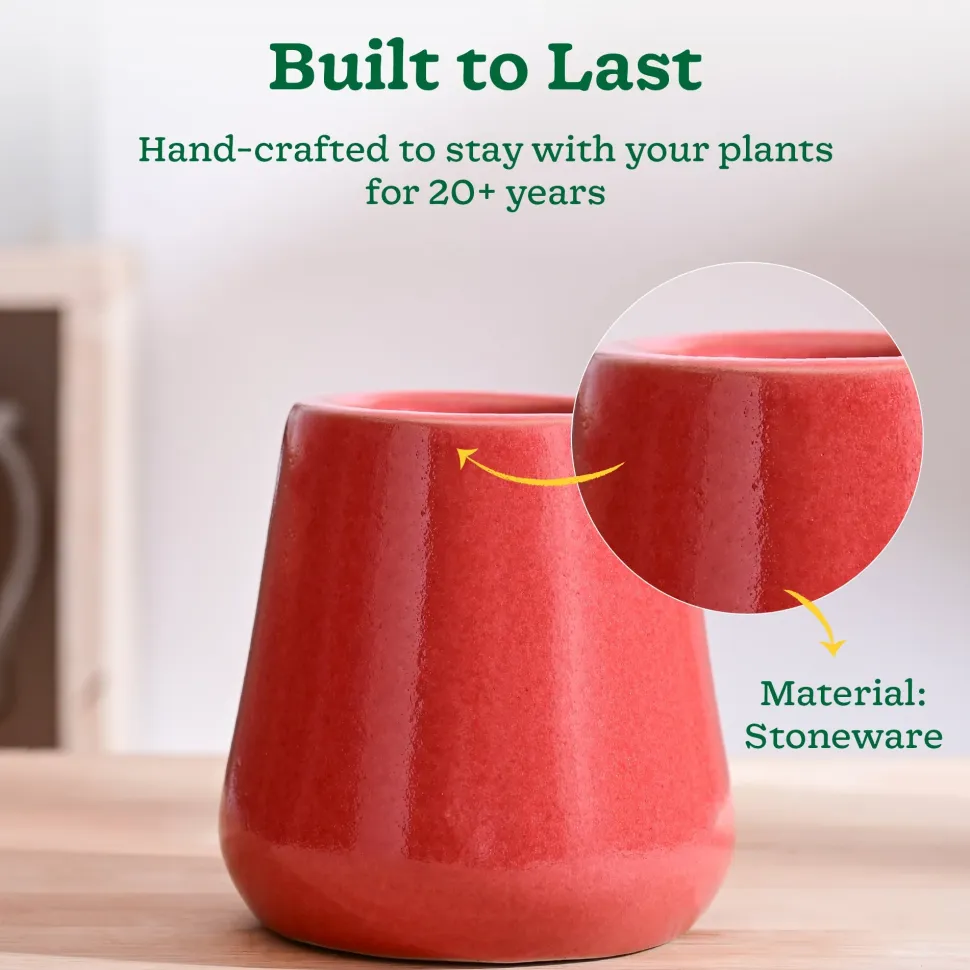 Tulip Fantasy Extra Small Ceramic Planter