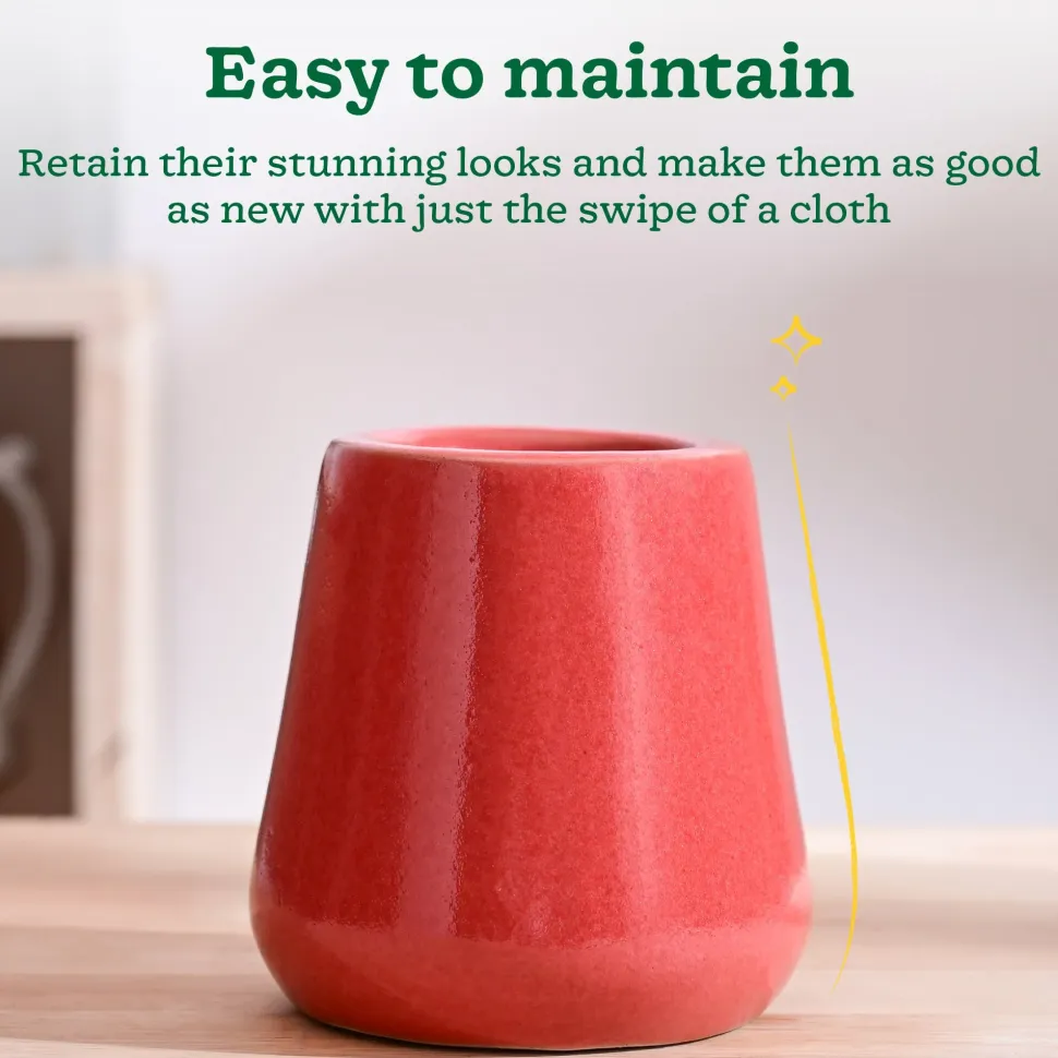 Tulip Fantasy Extra Small Ceramic Planter