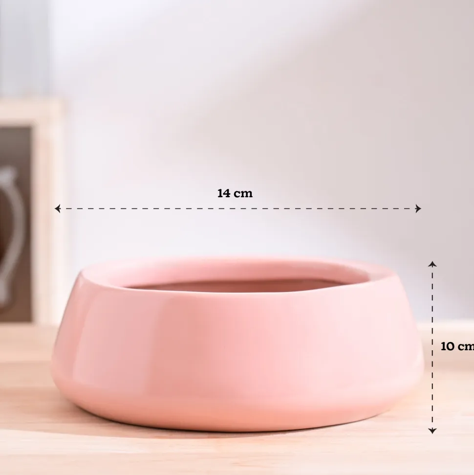 Tulip Fantasy Flat Ceramic Planter