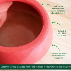 Tulip Fantasy Flat Ceramic Planter