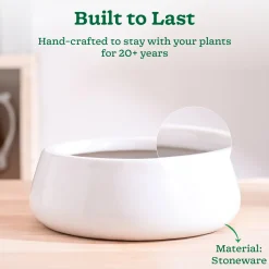 Tulip Fantasy Flat Ceramic Planter