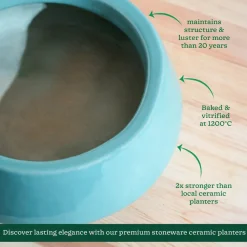 Tulip Fantasy Flat Ceramic Planter