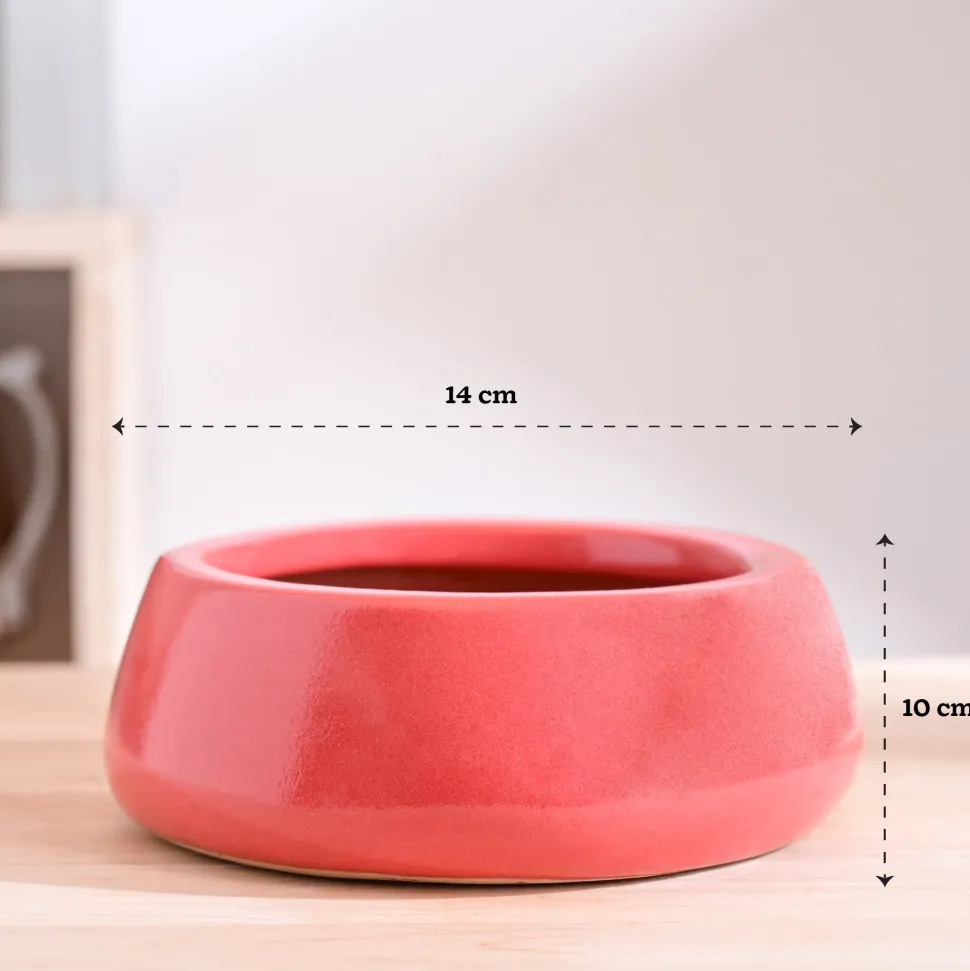 Tulip Fantasy Flat Ceramic Planter