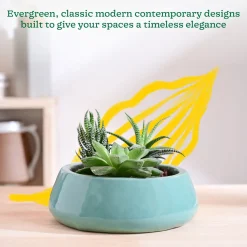 Tulip Fantasy Flat Ceramic Planter