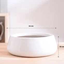 Tulip Fantasy Flat Ceramic Planter