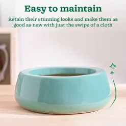 Tulip Fantasy Flat Ceramic Planter