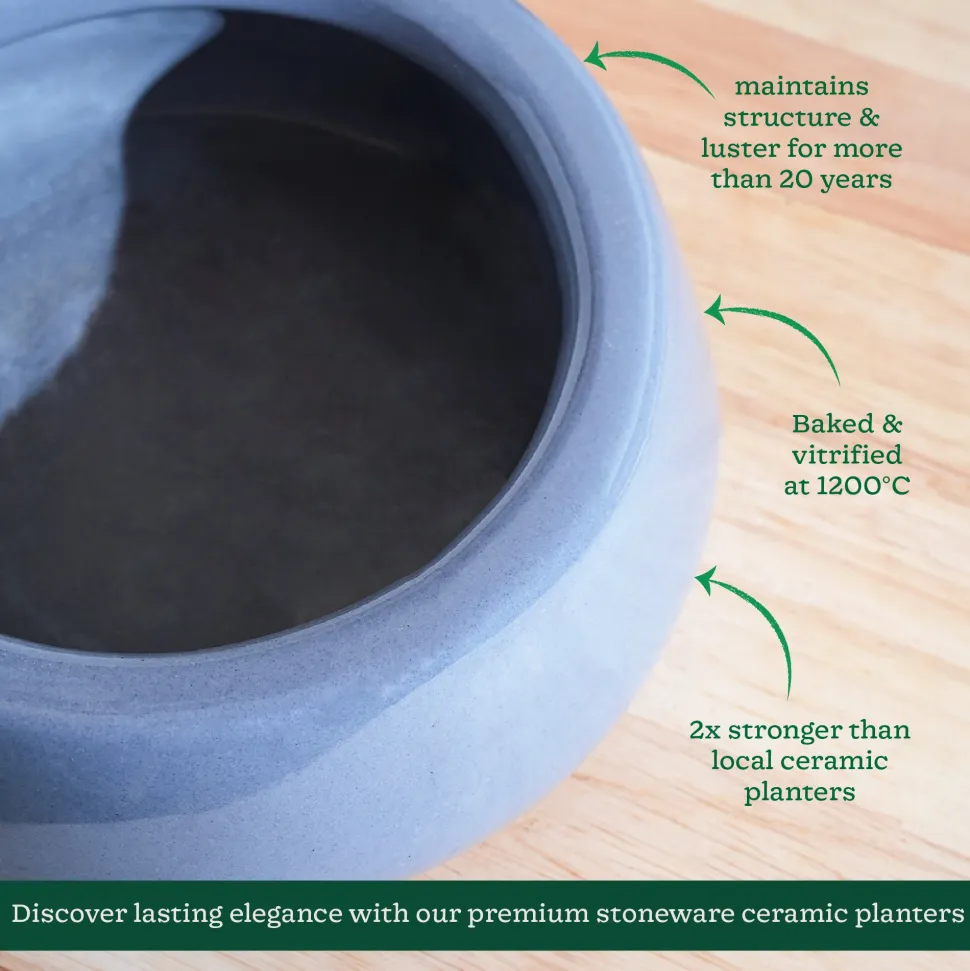 Tulip Fantasy Flat Ceramic Planter