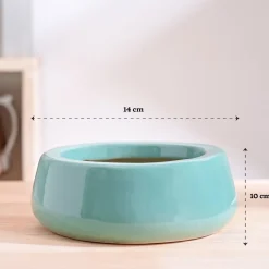 Tulip Fantasy Flat Ceramic Planter