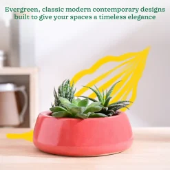 Tulip Fantasy Flat Ceramic Planter