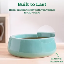 Tulip Fantasy Flat Ceramic Planter