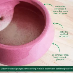 Tulip Fantasy Flat Ceramic Planter