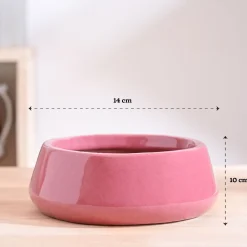 Tulip Fantasy Flat Ceramic Planter