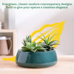 Tulip Fantasy Flat Ceramic Planter