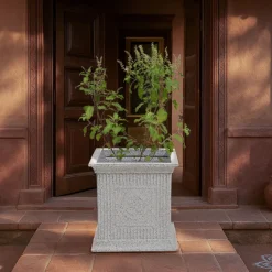 Tulsi Pot for Home