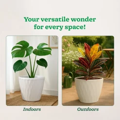 Tunis Planter- Set of 3